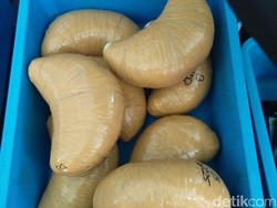 Diduga Bawa Narkoba, 4 Pria Ditahan di Bandara SSK II Pekanbaru