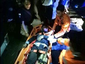 Tertimpa Pohon Tumbang, Penumpang Pikap di Sukabumi Patah Tulang