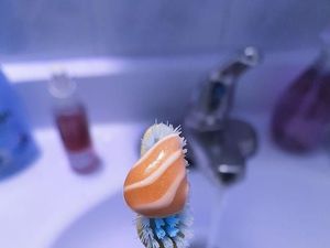 Benda yang Mirip Makanan dan Beragam Racikan Nasi Ulam