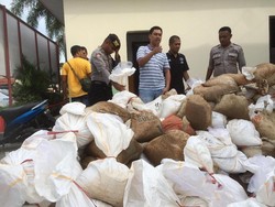 Polisi Gagalkan Penyelundupan 8 Ton Batu Cinnabar