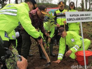 Anggota Polres Bandung Tanami 425 Hektare Lahan Perhutani yang Rusak Anggota Polres Bandung Tanami 425 Hektare Lahan Perhutani yang Rusak