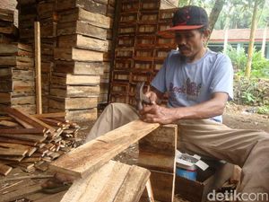 Kisah Penderes Nira, Bertaruh Nyawa Hingga Cacat Akibat Terjatuh