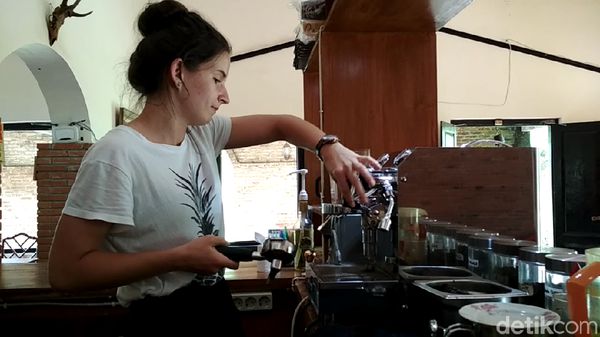 Foto: Barista Bule dan Kebun Kopi Peninggalan Belanda di Blitar