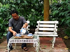 Di Keboen Kopi Ini Bisa Jalan-jalan ke Kebun Kopi hingga Ngopi Enak