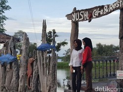 Taman Kepiting Pertama di Indonesia Ada di Sini?