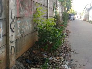 Foto: Ini Lokasi Geng Rawa Lele 212 Bacok 2 Polisi