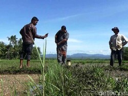 Meski Berbahaya, Semburan Gas di Purworejo Bisa Bermanfaat