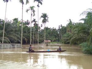 9 Kabupaten di Aceh Kena Banjir, 15 Ribu Warga Mengungsi