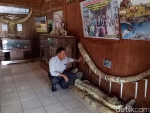 Fosil Purba di Banjarejo Grobogan Tersimpan Seadanya