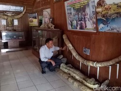 Fosil Purba di Banjarejo Grobogan Tersimpan Seadanya