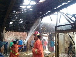 Bediang Sapi, Ludeskan Rumah Warga di Rembang