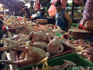 Jelang Tahun Baru, Pasokan & Harga Sembako di Papua Barat Stabil