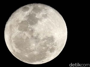 Ada Bulan Cacing Penuh di Langit Malam Nanti Ada Bulan Cacing Penuh di Langit Malam Nanti