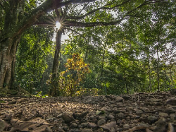 Tour de Linggarjati 2017 Hadirkan Keindahan Desa Wisata Cibuntu