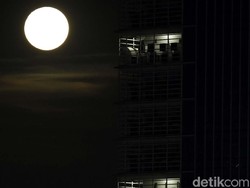 Misteri Suara Meraung-raung di Pantura Terkuak