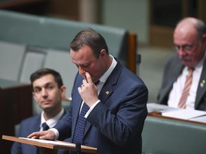 Politikus Australia Melamar Kekasih Gay-nya di Sidang Parlemen