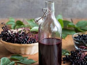 Catat! 10 Buah Ini Masuk Daftar Buah Paling Berbahaya di Dunia (1)