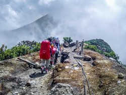 Belajar Makna Hidup di Gunung Gede Pangrango