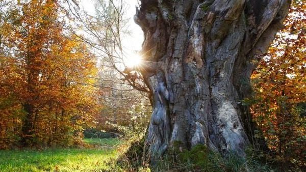 Deretan Fotomodel Telanjang yang Tak Kasatmata