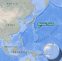 Ini Dia Ikan yang Bisa Hidup di Laut Kedalaman 8.134 meter!