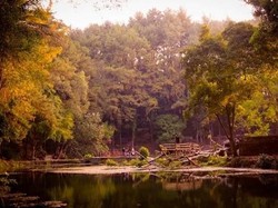 Telaga Remis yang Romantis