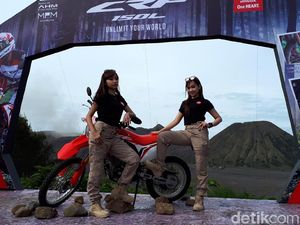 Honda CRF150L Bisa Juga untuk Borongan