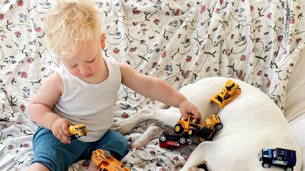 Ini Archie, Balita yang Sayang Banget Sama Binatang