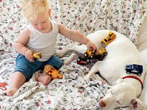 Ini Archie, Balita yang Sayang Banget Sama Binatang