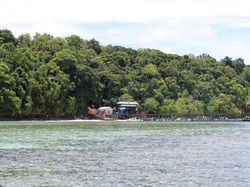 Terpesona Pulau Kakaban
