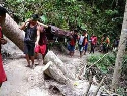 Pilu Warga Sulsel Tandu Jenazah Sejauh 36 Km Tembus Hutan