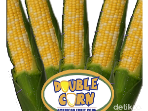 Raymond dan Jagung Ajaib Persembahan untuk Soeharto