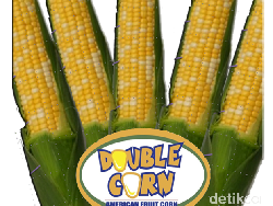 Raymond dan Jagung Ajaib Persembahan untuk Soeharto