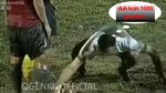 Mandi Lumpur Ala Timnas Indonesia