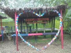 Sawah Sampai Warung Meriah, Ini Kampung Warna Purbalingga