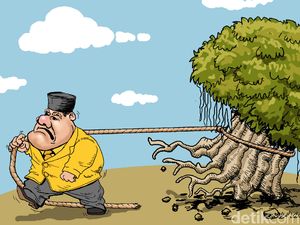 Kala Beringin Terjebak Novanto