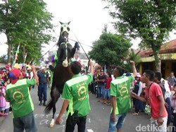 Aksi Kuda Jingkrak Meriahkan Maulid Nabi di Purworejo