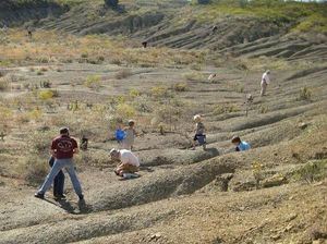 Wisata ke Tempat ini, Pulangnya Bisa Bawa Fosil