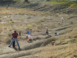 Wisata ke Tempat ini, Pulangnya Bisa Bawa Fosil
