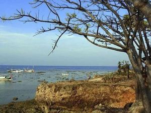 Pulau Panjang Umur di Sumenep, Warganya Hidup Hingga 100 Tahun