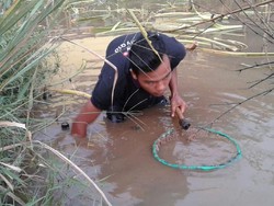 Heboh Keong Sawah, Ahli Gizi Sebut Ada Banyak Sumber Protein Alternatif
