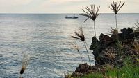 Foto: Pulau di Sumenep yang Warganya Hidup Hingga 100 Tahun