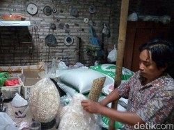 Warga Jepara Ini Manfaatkan Limbah kerang Jadi Hiasan Rumah