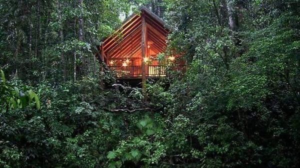 Foto: Hotel Rumah Pohon yang Romantis dari Amerika