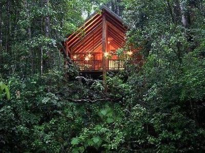 Foto: Hotel Rumah Pohon yang Romantis dari Amerika