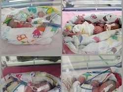 Ikut Program Inseminasi, Sefriani Lahirkan Bayi Kembar 4 di Palembang