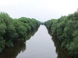 7 Cara Menikmati Hutan Mangrove PIK, untuk Libur Hari Rabu