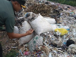 Sampah Alat Medis di Cirebon Diduga Berasal dari Pengusaha Rongsok