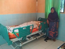 Hutan Menyempit, Beruang Madu Serang Warga di Sumsel