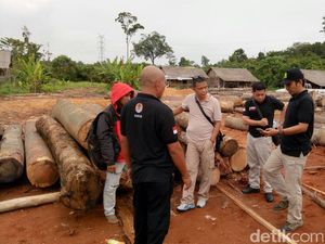 Perusahaan Hutan di Sumsel Jadi Tersangka Korporasi