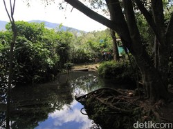 Segarnya Tujuh Mata Air di Titik 0 Citarum